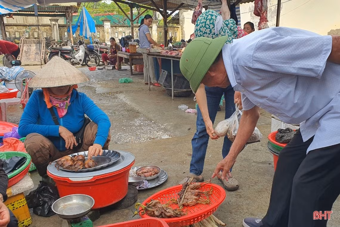 Thâm nhập các “trận địa” đánh bắt, sơ chế, tiêu thụ “chim trời” ở Hà Tĩnh