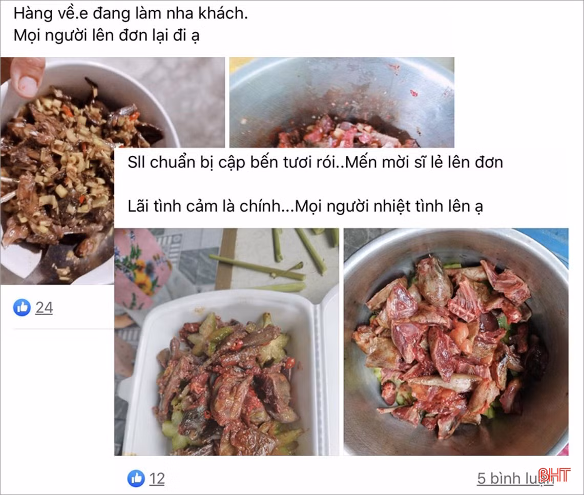 Thâm nhập các “trận địa” đánh bắt, sơ chế, tiêu thụ “chim trời” ở Hà Tĩnh