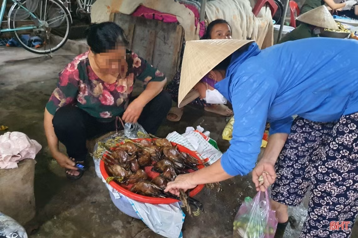 Thâm nhập các “trận địa” đánh bắt, sơ chế, tiêu thụ “chim trời” ở Hà Tĩnh