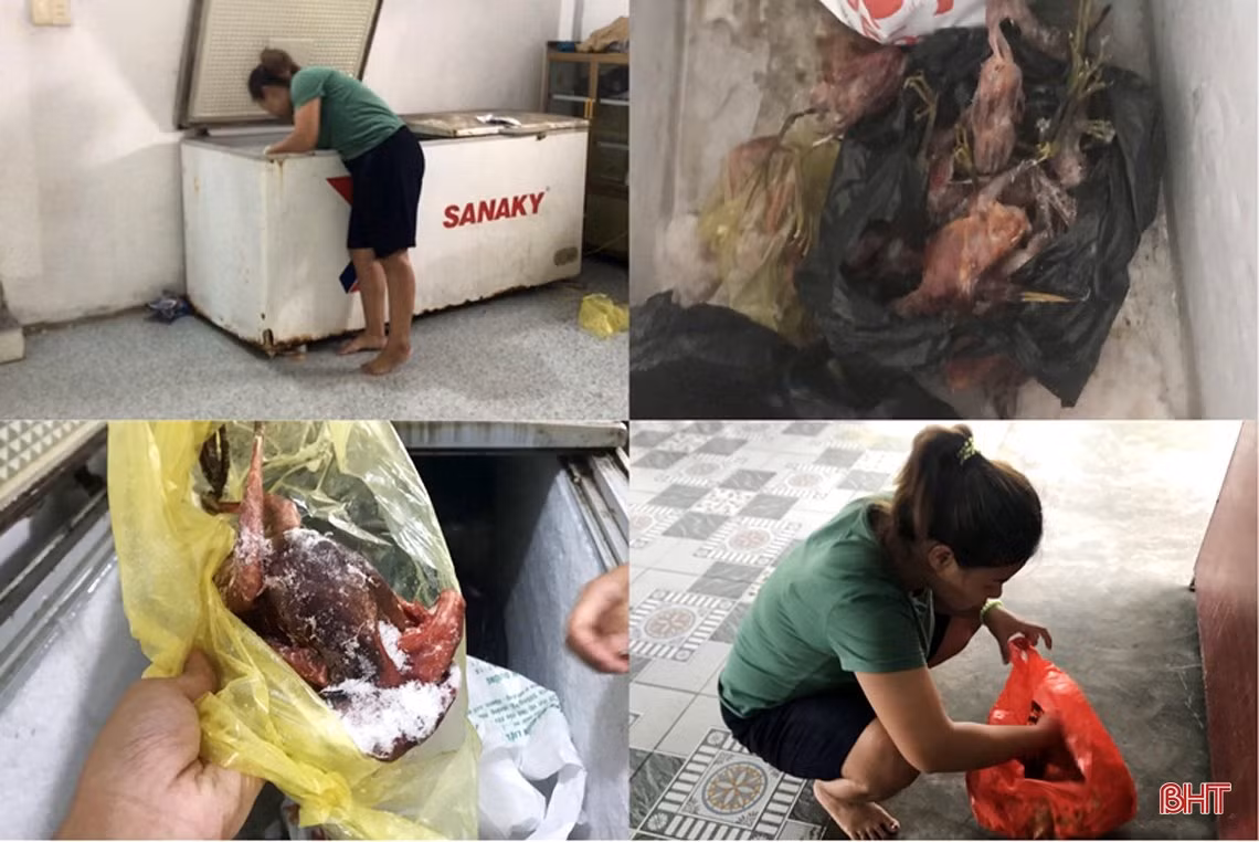 Thâm nhập các “trận địa” đánh bắt, sơ chế, tiêu thụ “chim trời” ở Hà Tĩnh