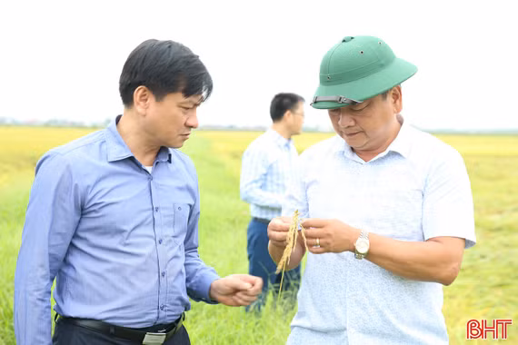 Chủ động hỗ trợ người dân bảo quản, chế biến lúa sau thu hoạch