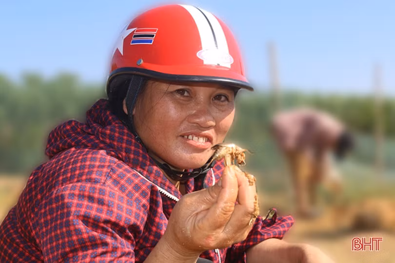Người dân Xuân Hồng chong đèn, lội ruộng “săn” đặc sản trong đêm