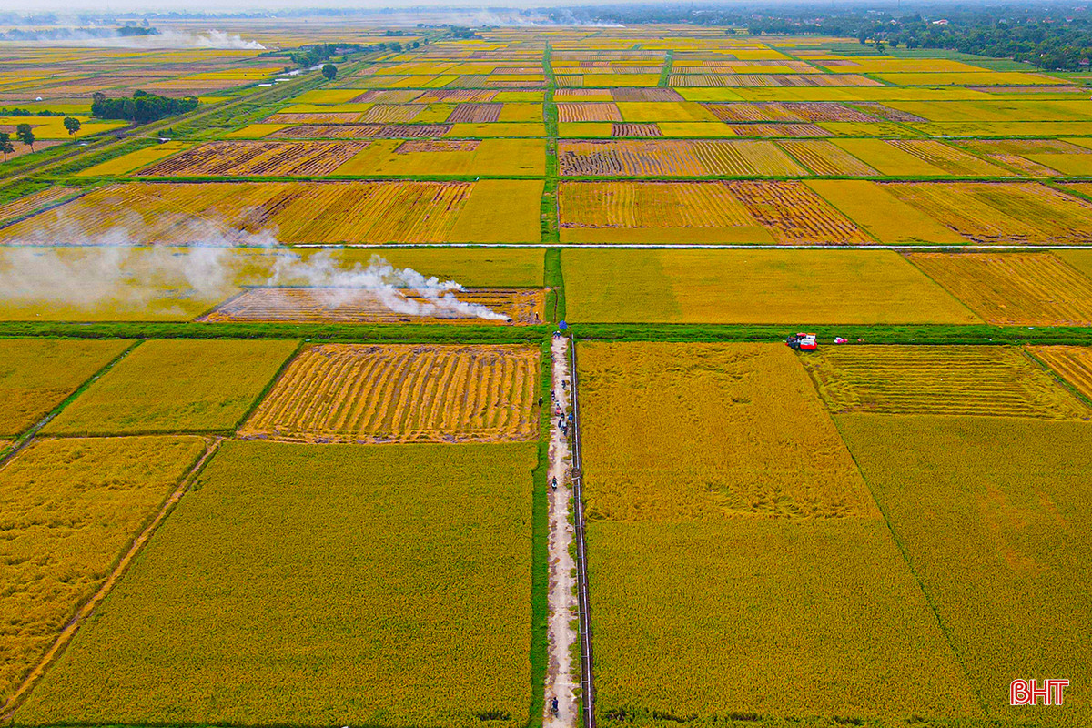 dji_fly_20240512_145236_249_1715500376632_photo.jpg