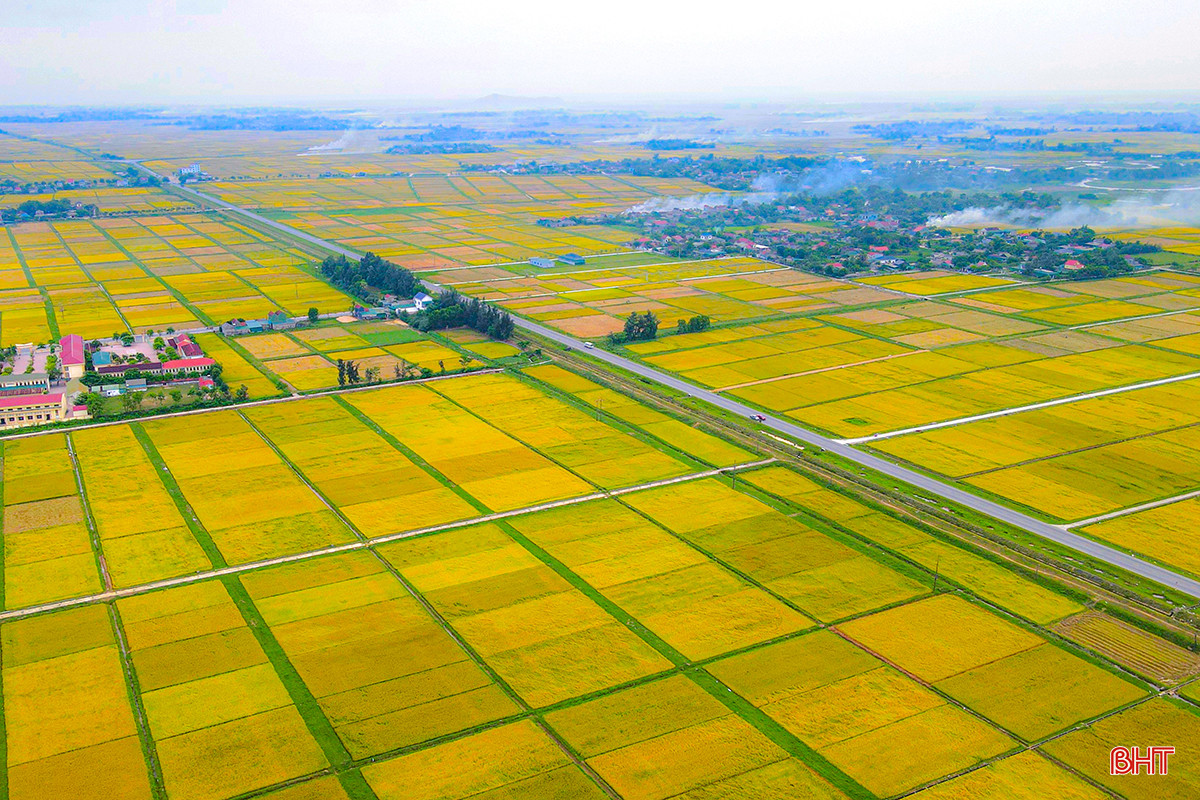 dji_fly_20240512_142914_236_1715498973057_photo.jpg