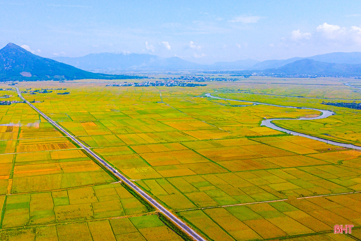DJI_0345.jpg