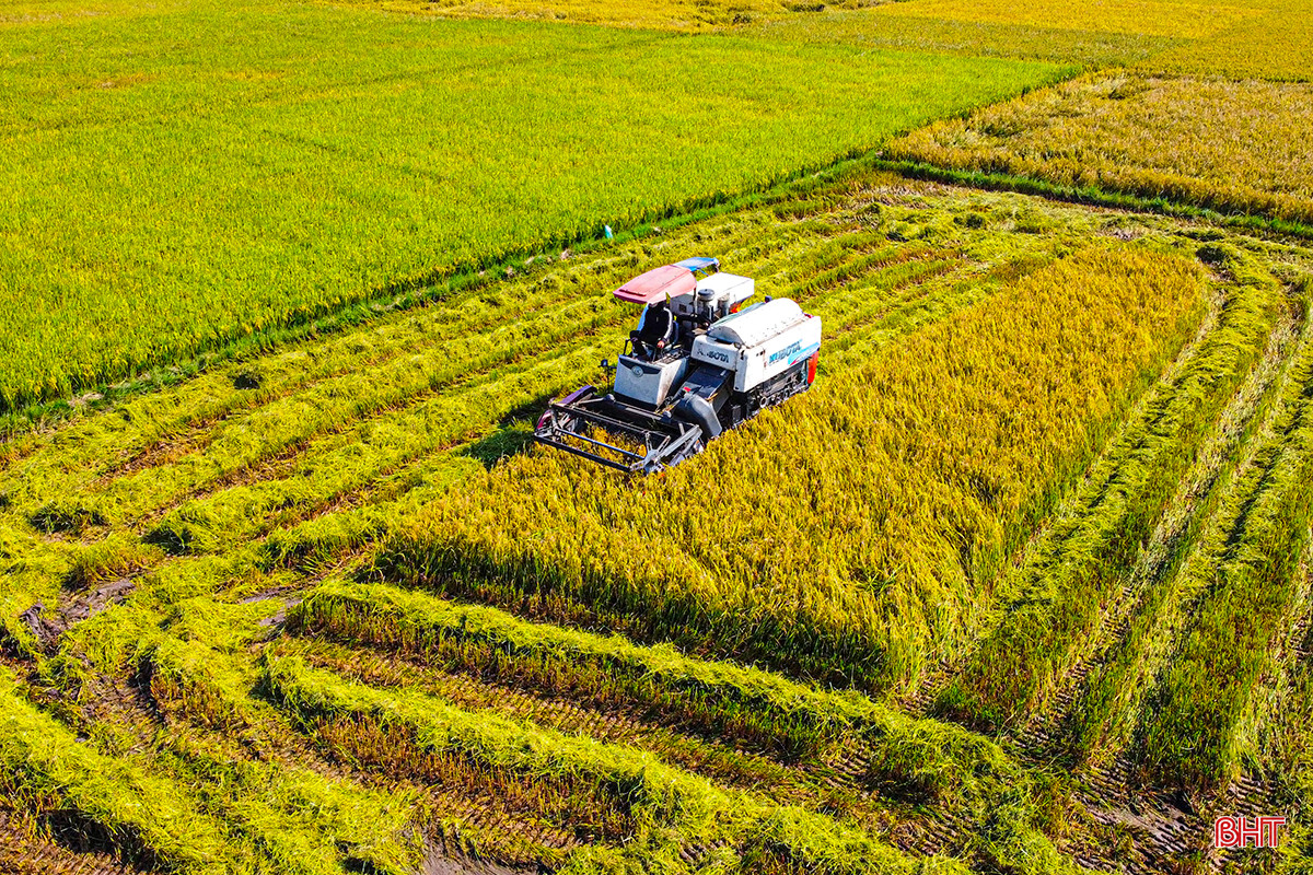 DJI_0319.jpg