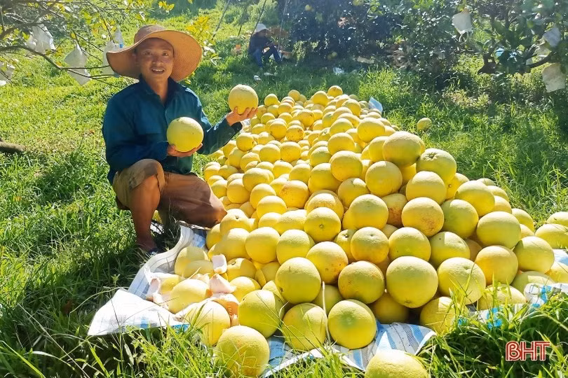 nong-dan-2.jpg
