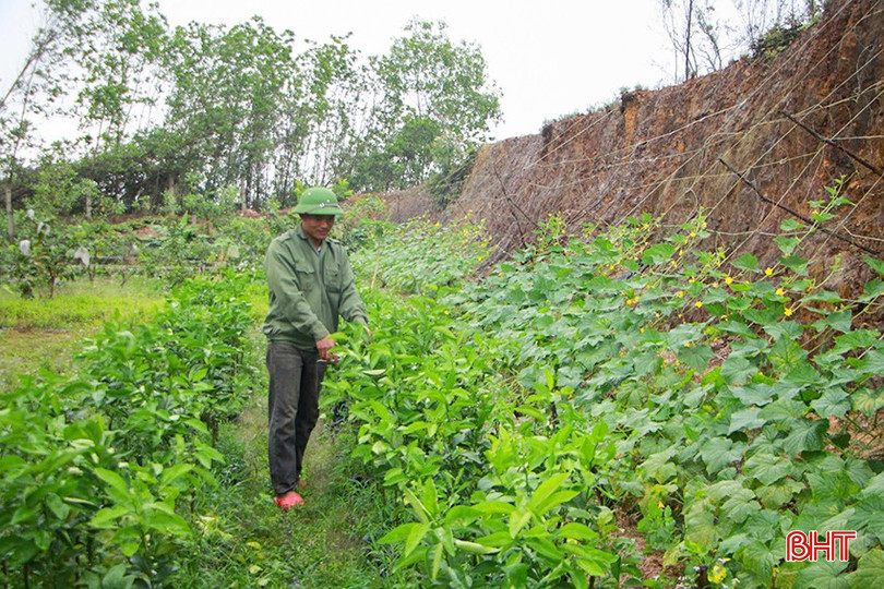 bqbht_br_tin-dung-xanh-6.jpg