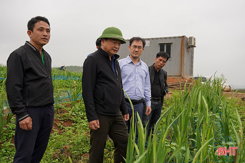 bqbht_br_anh-thanh-6.jpg