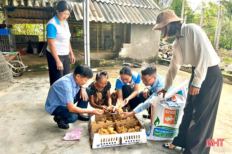 bqbht_br_hoi-phu-nu-ho-tro.jpg