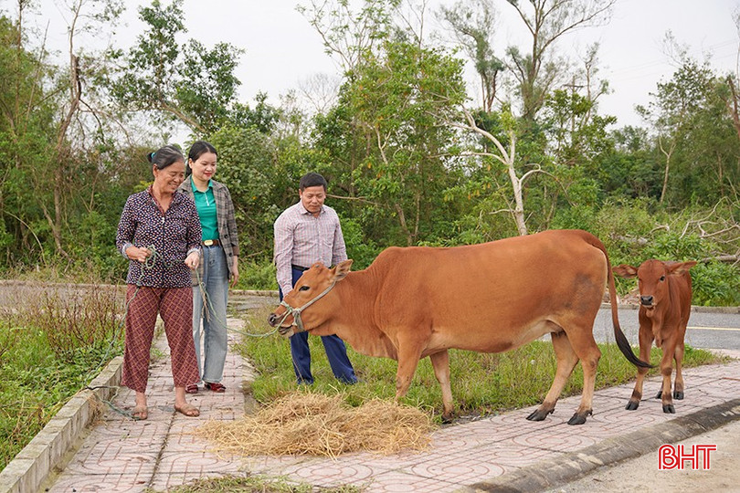 bqbht_br_ba-huong.jpg