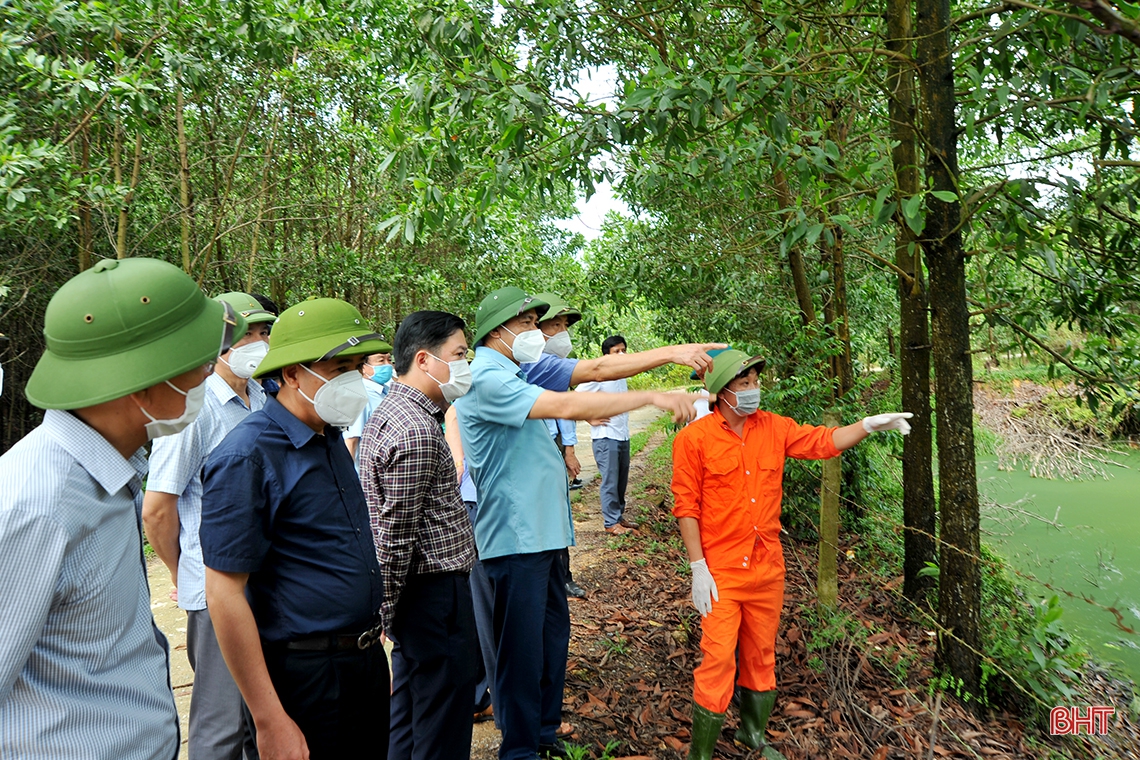 Chủ tịch UBND tỉnh: Chủ động ứng phó với thiên tai, đảm bảo quy hoạch và môi trường trong chăn nuôi