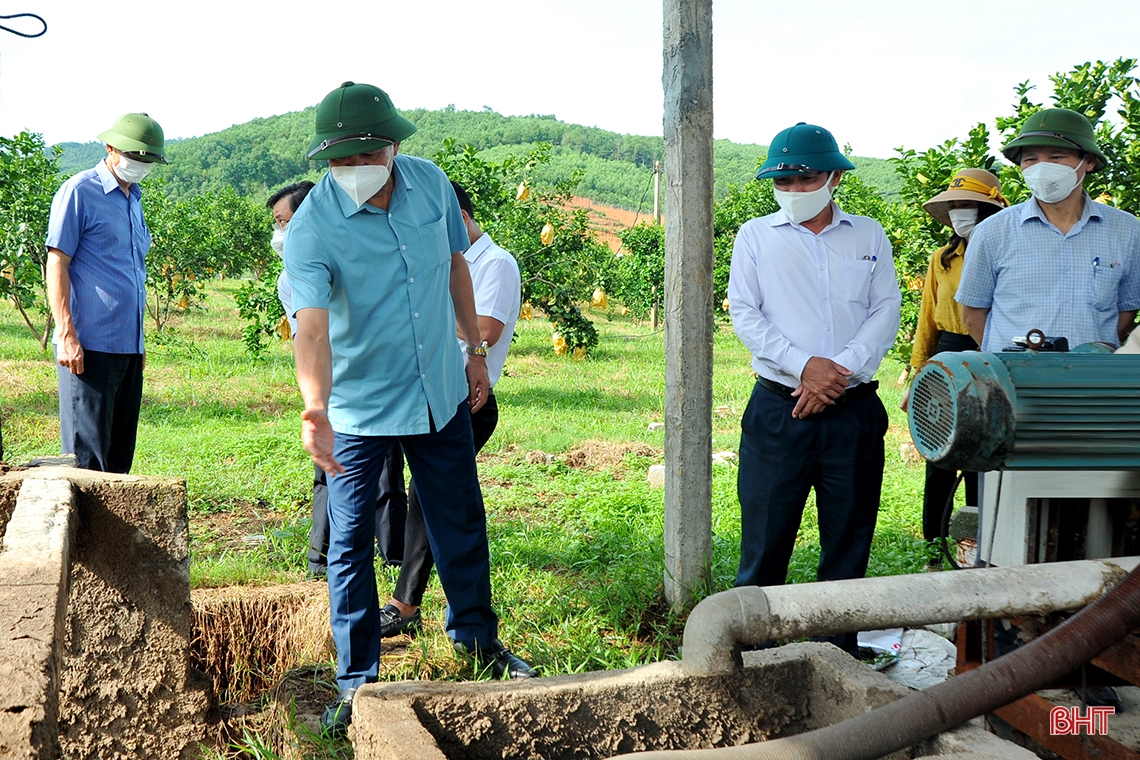Chủ tịch UBND tỉnh: Chủ động ứng phó với thiên tai, đảm bảo quy hoạch và môi trường trong chăn nuôi