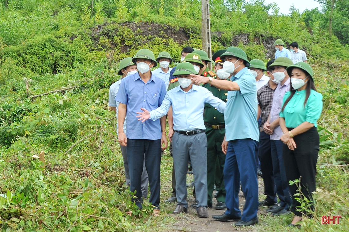 Chủ tịch UBND tỉnh: Chủ động ứng phó với thiên tai, đảm bảo quy hoạch và môi trường trong chăn nuôi