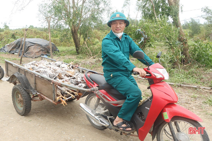 Do ảnh hưởng của bão số 5, nhiều chuồng chăn nuôi gà của 120 hộ dân ở 3 thôn: Bắc Hòa, Phú Hòa, Mỹ Hòa của xã Yên Hòa bị sập, cây cối đổ gãy đè lên chuồng khiến hàng chục nghìn con gà bị thiệt hại.