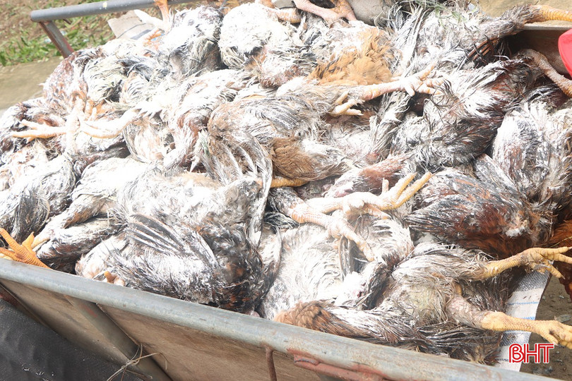 Hà Tĩnh tổng lực khắc phục hậu quả bão số 5 ảnh 61