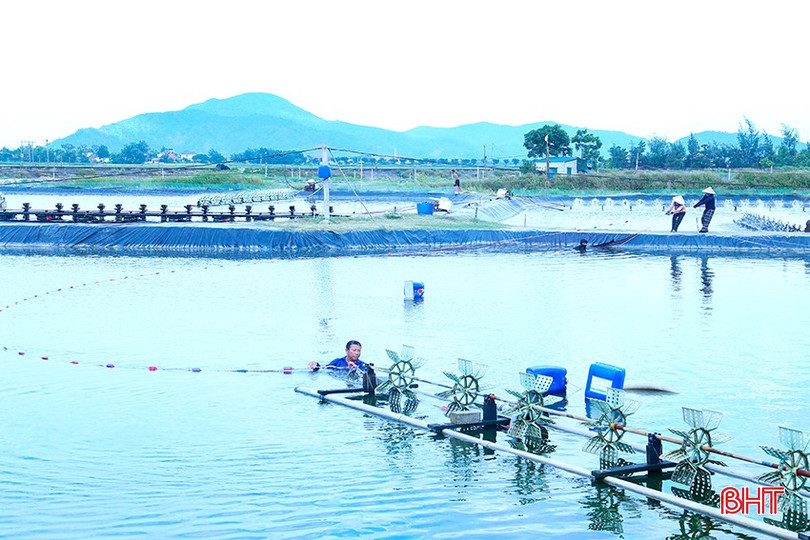 bqbht_br_9694.jpg