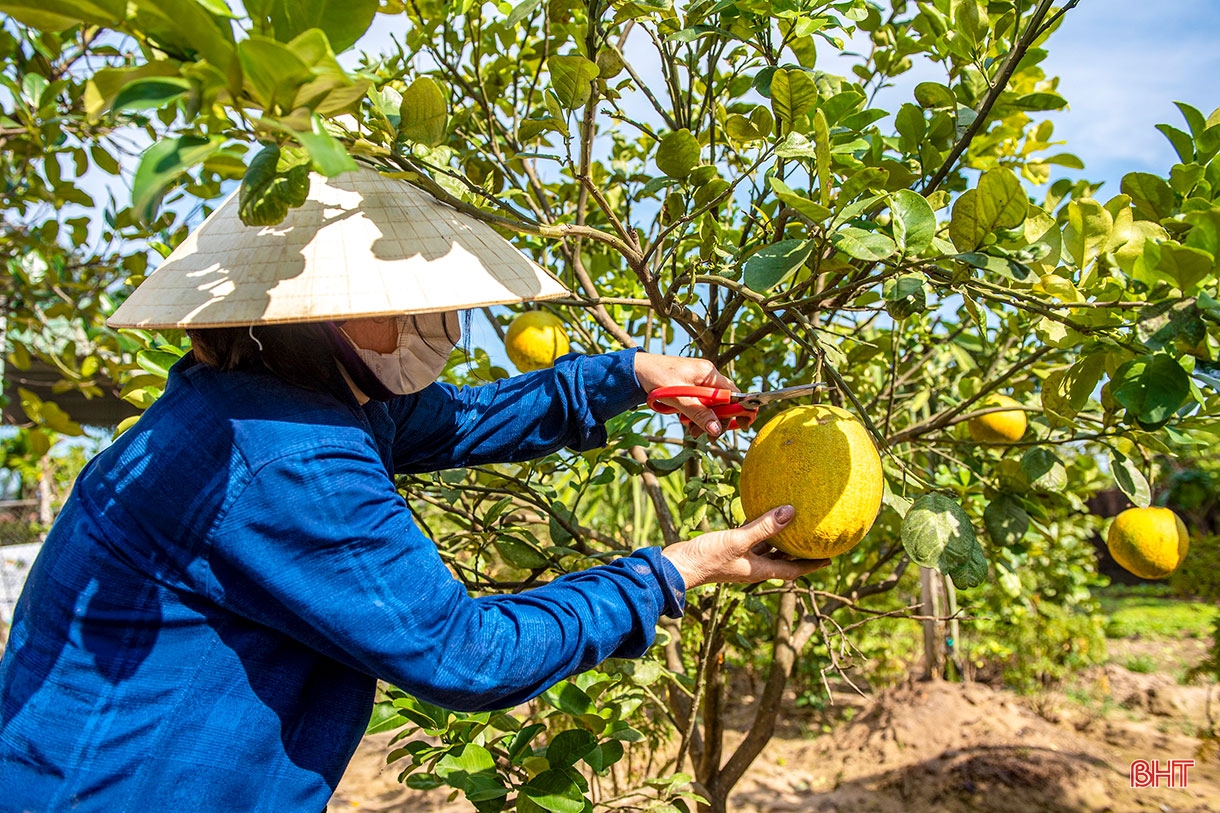 Chủ trương đúng, cách làm phù hợp, người dân Xuân Thành hăng hái xây dựng NTM kiểu mẫu