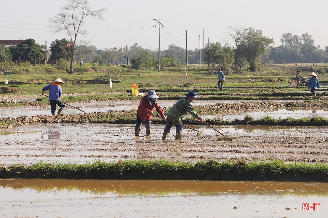 Nông dân Hà Tĩnh “đua” tiến độ gieo cấy lúa xuân