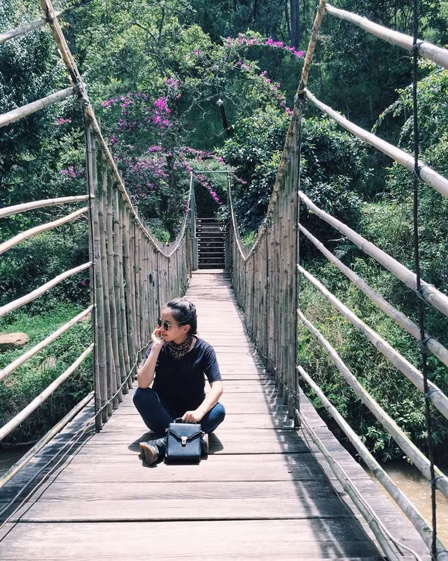 Những góc "sống ảo" tuyệt đẹp ở Đà Lạt ảnh 15 nhung goc song ao tuyet dep o da lat