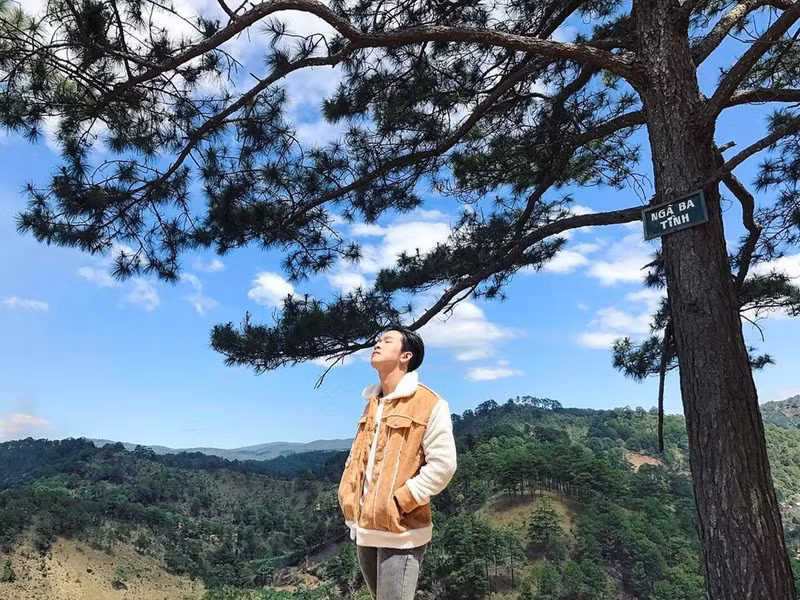 Những góc "sống ảo" tuyệt đẹp ở Đà Lạt ảnh 3 nhung goc song ao tuyet dep o da lat