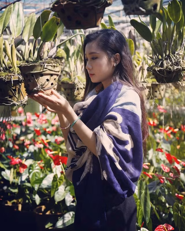Những góc "sống ảo" tuyệt đẹp ở Đà Lạt ảnh 7 nhung goc song ao tuyet dep o da lat