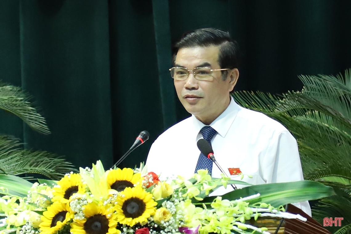 Bà Đào Thị Anh Nga giữ chức Phó Trưởng ban Văn hóa - Xã hội HĐND tỉnh Hà Tĩnh