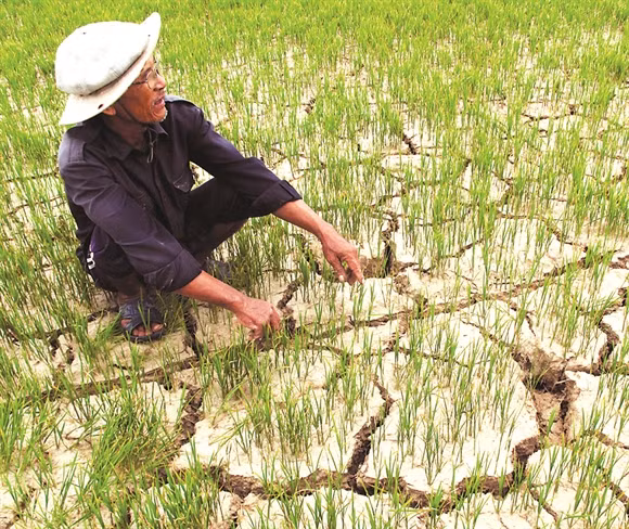 viet nam vay wb 90 trieu usd ung pho voi bien doi khi hau