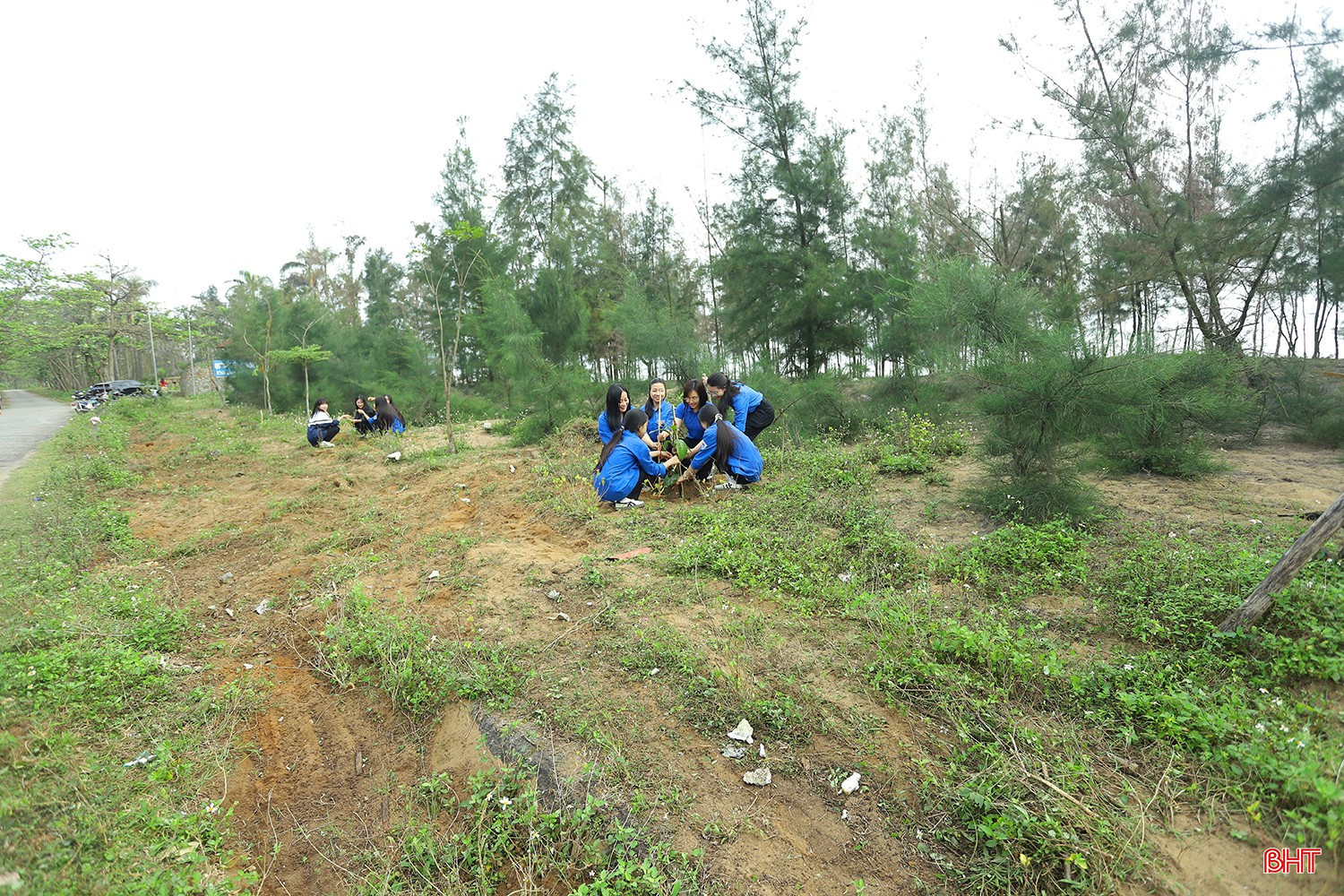 bqbht_br_trong-cay-5.jpg