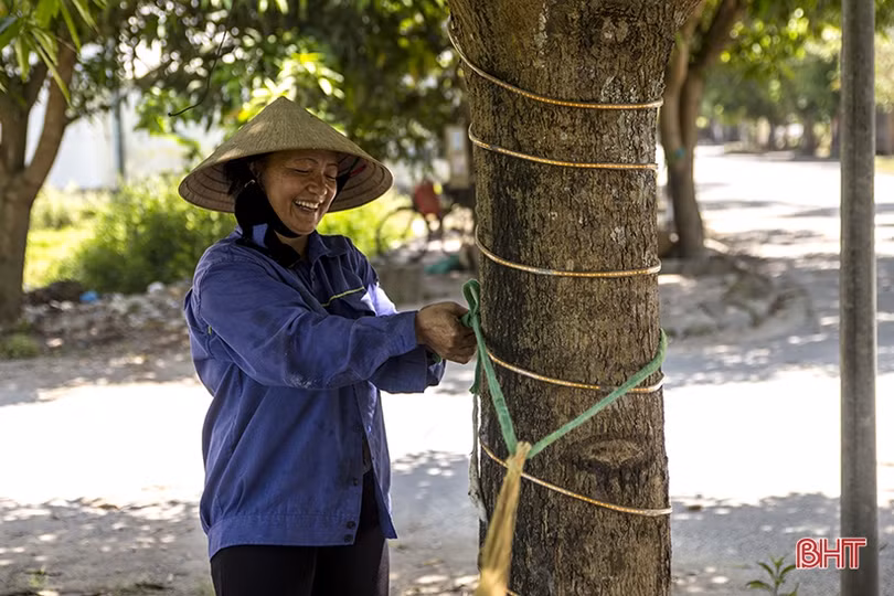 Những giấc trưa vội vã...