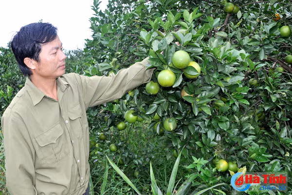 Nông nghiệp Hà Tĩnh với cuộc cách mạng lịch sử
