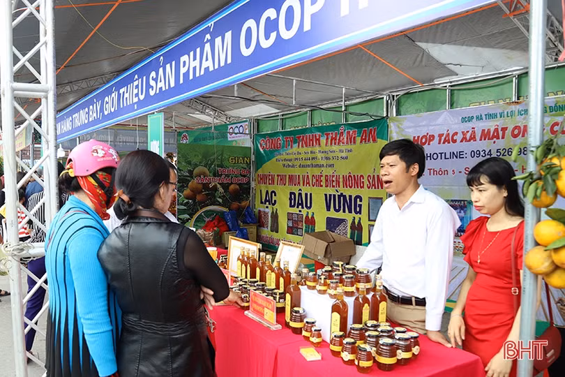 Hành trình xây dựng thương hiệu mật ong Hương Sơn ở Hà Tĩnh