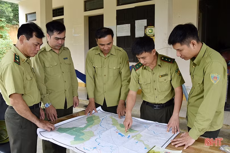 Phòng hỏa từ sớm, từ xa cho rừng Hương Khê