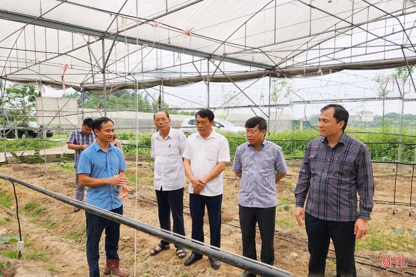 Xây dựng nông nghiệp TP Hà Tĩnh theo hướng đa giá trị, sinh thái bền vững