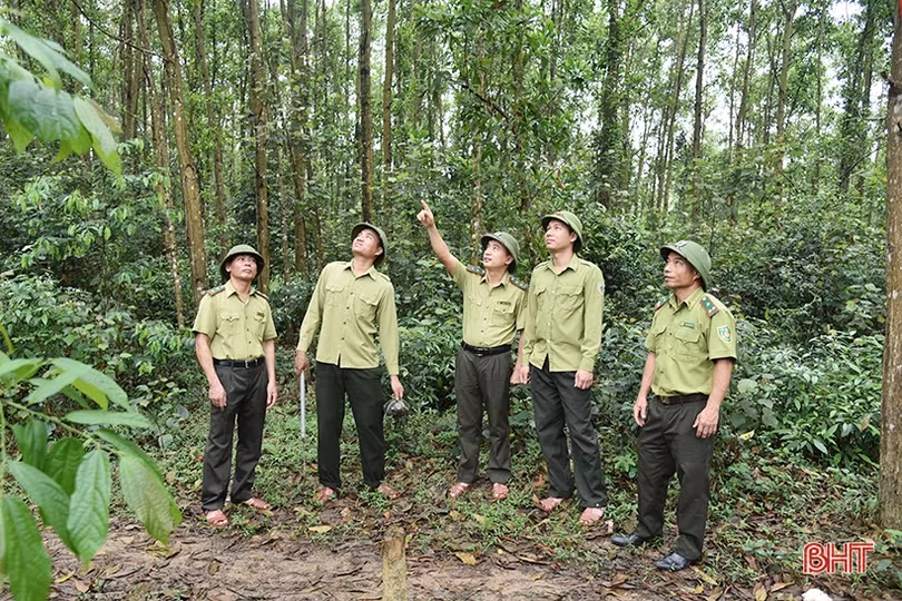 Phòng hỏa từ sớm, từ xa cho rừng Hương Khê