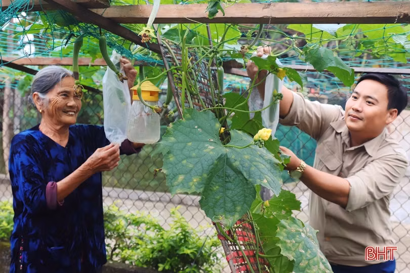 Cán bộ thôn tâm huyết, giỏi làm kinh tế ở ven đô Hà Tĩnh