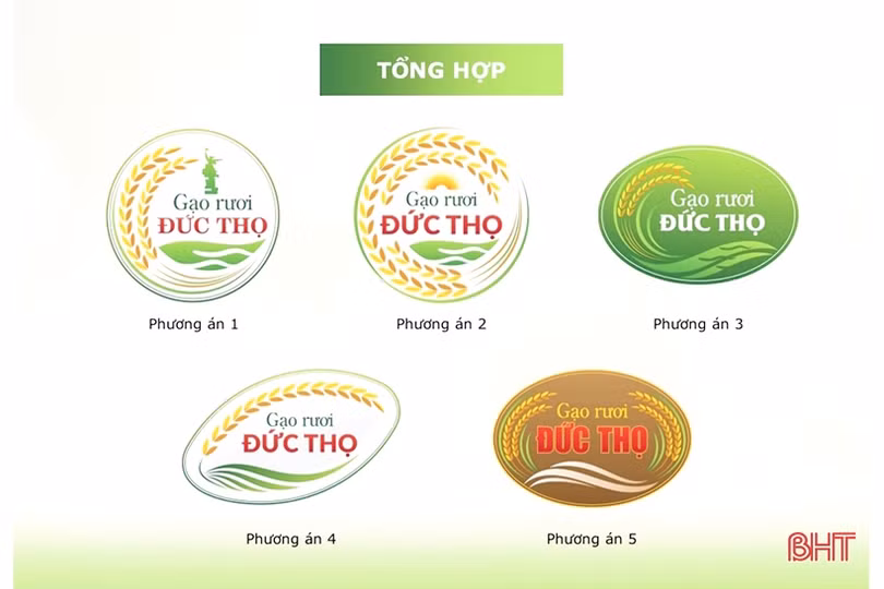 5 phương án logo đăng ký bảo hộ nhãn hiệu “Gạo rươi Đức Thọ”