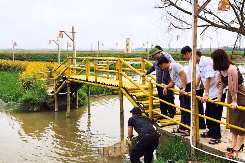 Xây dựng nông nghiệp TP Hà Tĩnh theo hướng đa giá trị, sinh thái bền vững