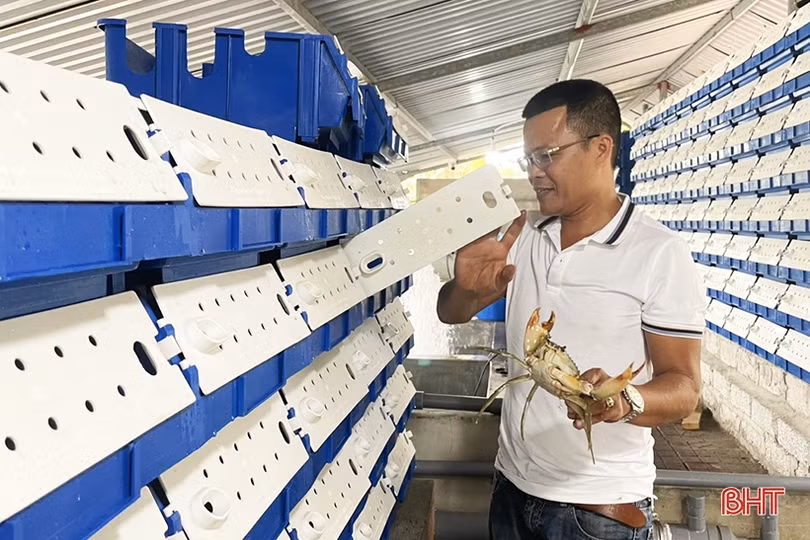 Thu nhập tiền tỷ nhờ dám nghĩ, dám làm