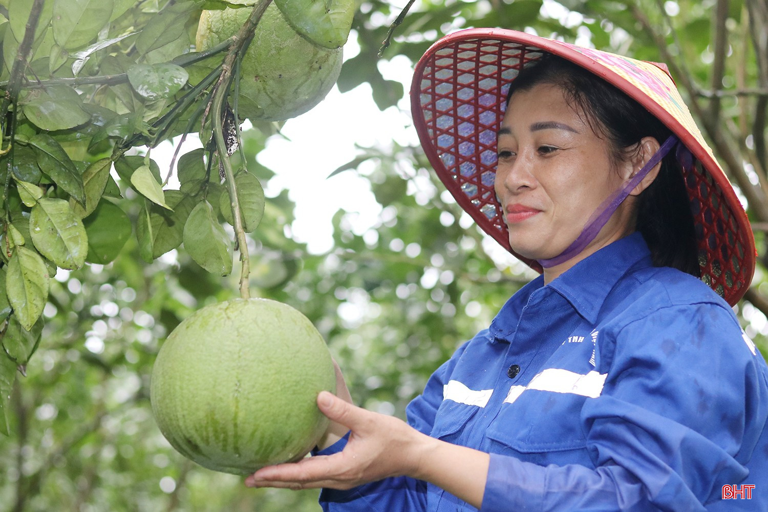 bqbht_br_img-8375.jpg