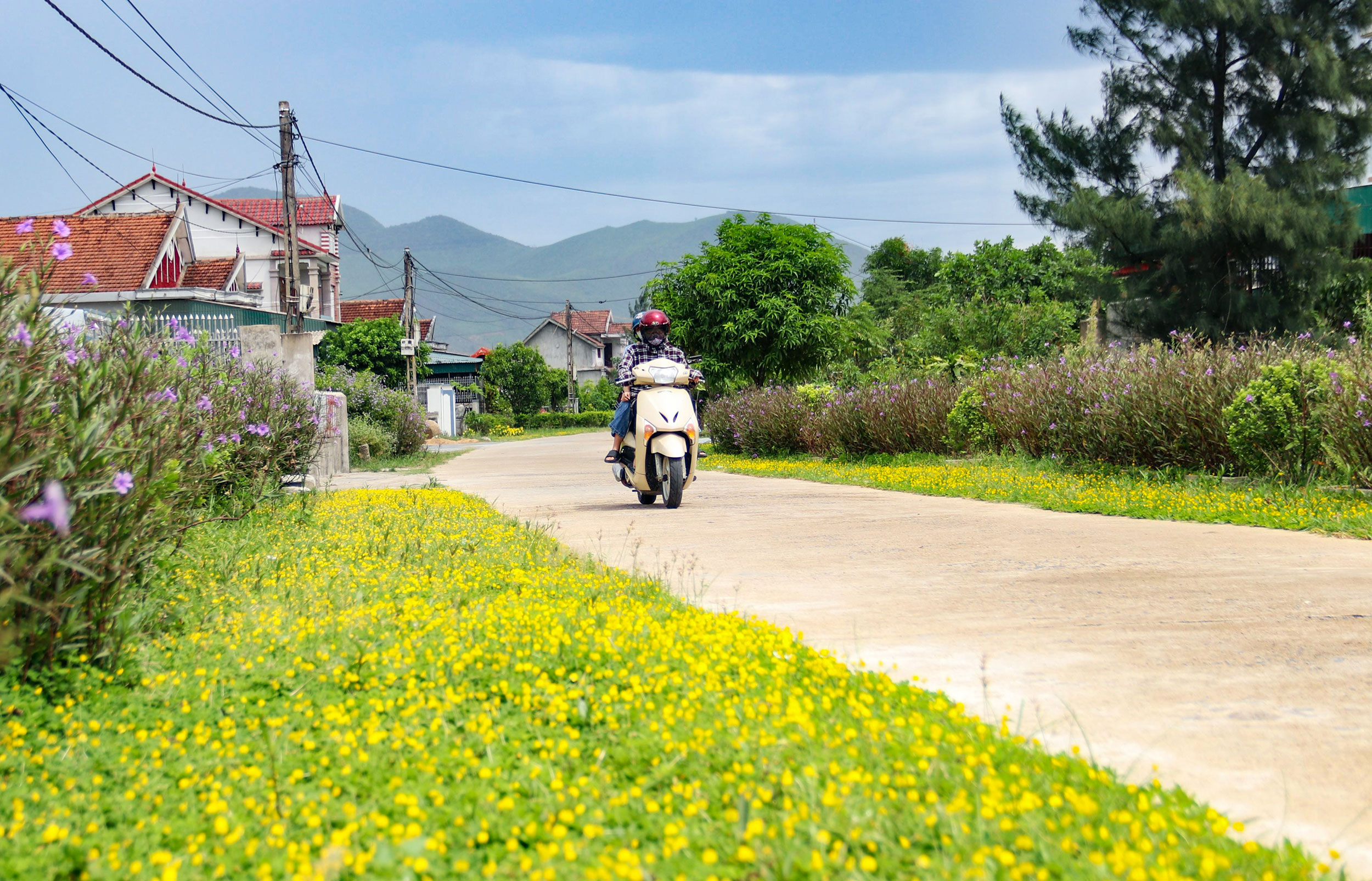 Dưới mái Bắc Đèo Ngang