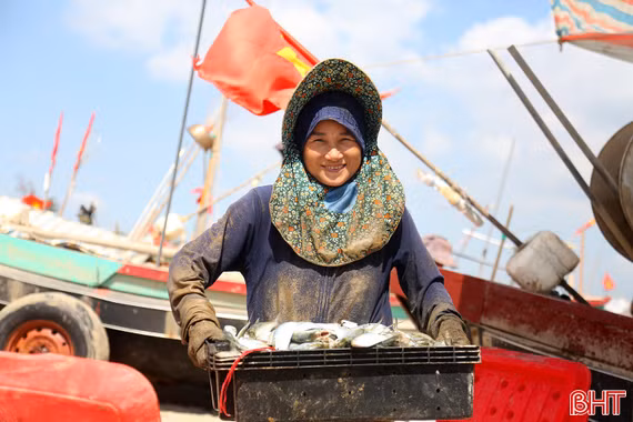 Ngư dân Tiên Điền trúng đậm cá mòi