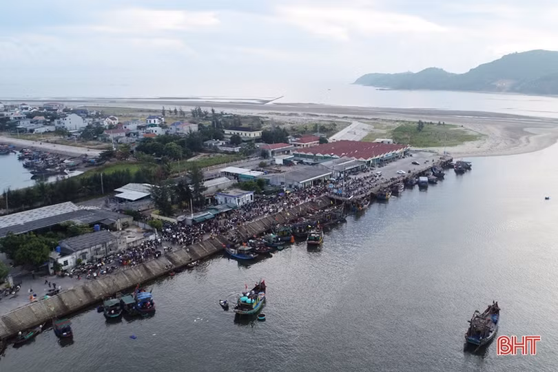 Chế biến thủy sản hải sản ở Lộc Hà đạt giá trị sản xuất khoảng 200 tỷ đồng
