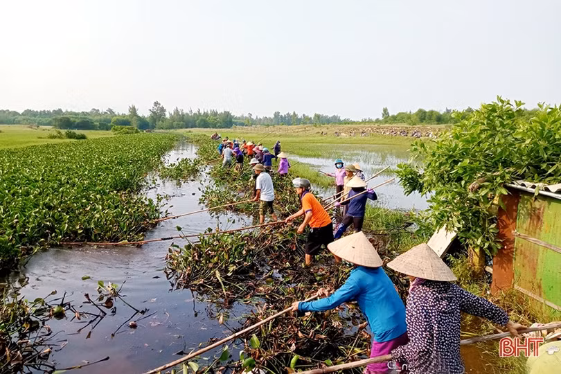 Trục vớt bèo, khơi thông dòng chảy đề phòng mưa lớn xẩy ra ở Nghi Xuân