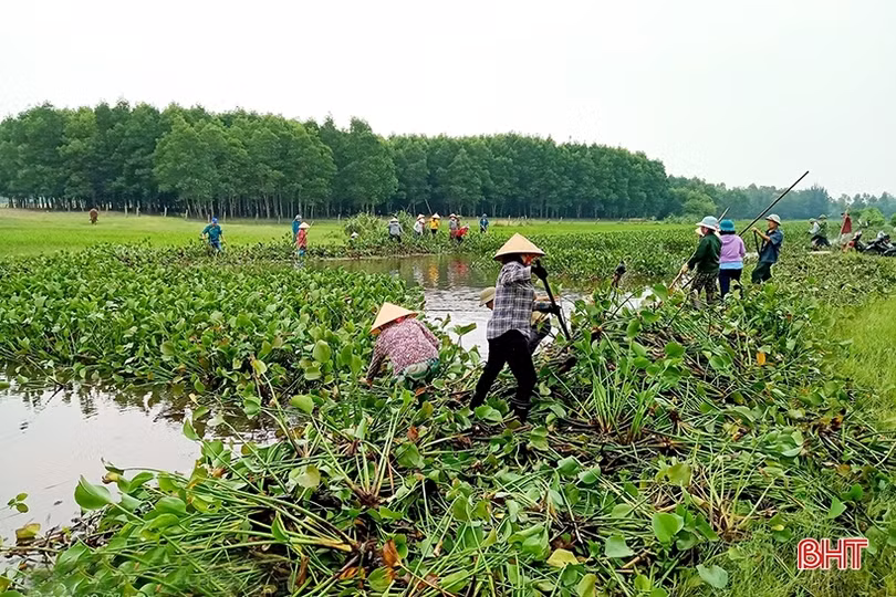Trục vớt bèo, khơi thông dòng chảy đề phòng mưa lớn xẩy ra ở Nghi Xuân