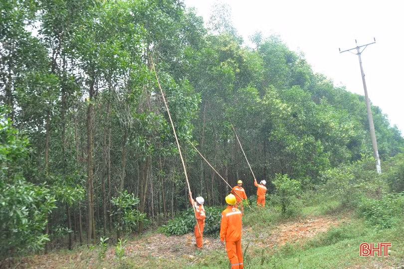 Lãnh đạo Tổng Công ty Điện lực Miền Bắc đánh giá cao công tác ứng phó, bảo vệ lưới điện của Hà Tĩnh