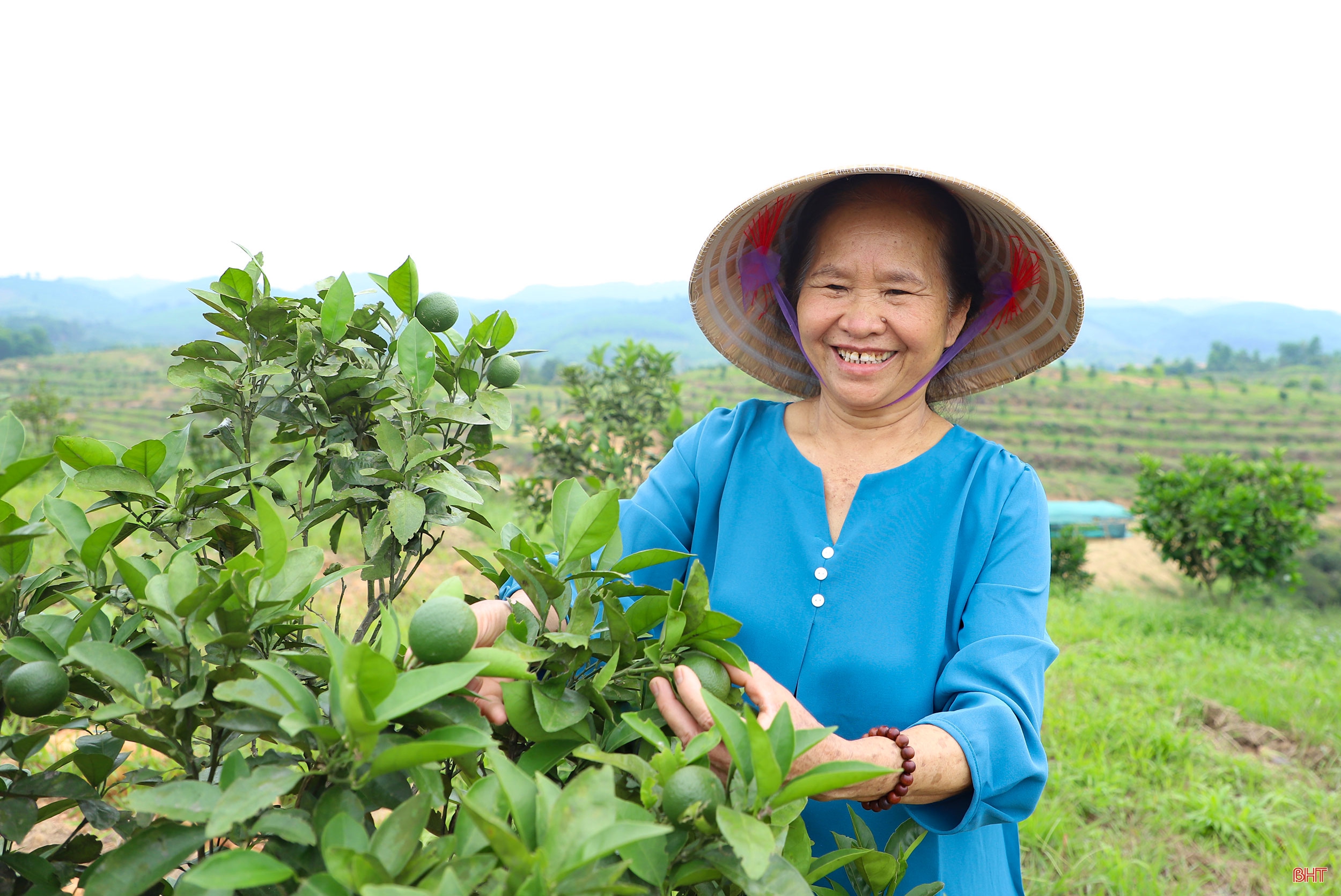 Học Bác, nữ đảng viên tiên phong xây vùng kinh tế mới