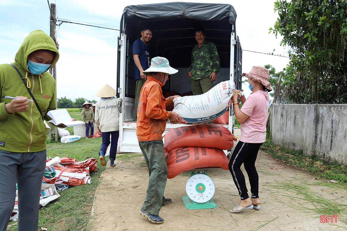 Đồng sạch sâu, đủ nước, nông dân Hà Tĩnh tin vào vụ hè thu thắng lợi toàn diện