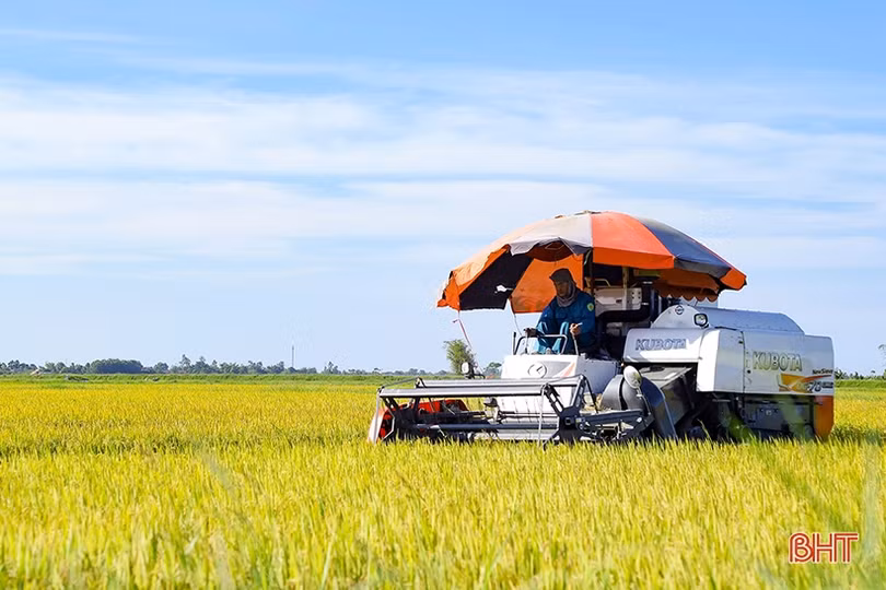 Chuyển mạnh tư duy từ sản xuất nông nghiệp sang phát triển kinh tế nông nghiệp