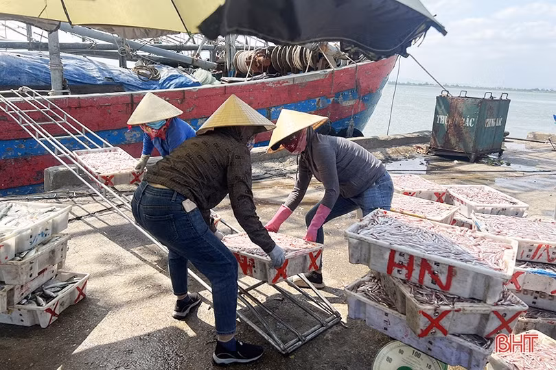 98 tàu cá Hà Tĩnh được cấp giấy chứng nhận vệ sinh an toàn thực phẩm
